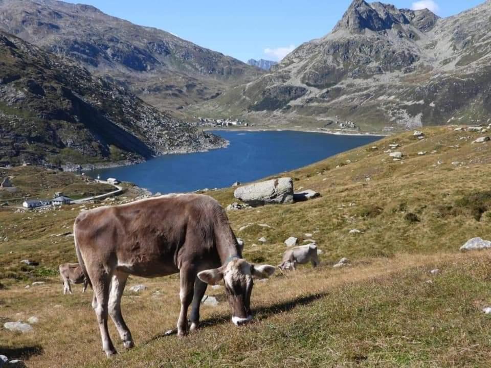 Mansarda Vista Lago A Campodolcino 아파트 외부 사진